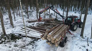Telataan puita | Hauling wood