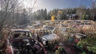 OVER 1000 ABANDONED CLASSIC CARS FOUND | Exploring the biggest car graveyard in Europe (Scandinavia)