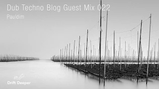 Dub Techno Blog Guest Mix 022 - Pauldim