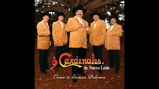 Cardenales de Nuevo Leon Mix Antaño