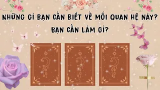 Những gì bạn cần biết về mối quan hệ này? Vũ trụ nhắn nhủ gì? | Trang the Sirian