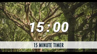 15 Minute Timer | A Day In The Forest | Bird Sound Alarm