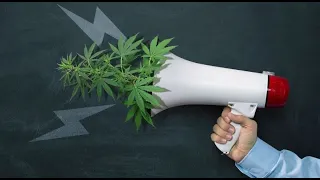 Miért kellene legalizálnunk a füvet? - G Ras - 420