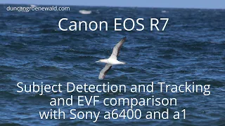 Canon R7 Subject Detection and Tracking EVF recording with comparison to Sony a6400 and Sony Alpha 1