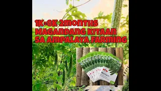 MAGKANO KINITA KO SA 10PACK SEEDS AMPALAYA? Mestisa F1 #farming #farmers