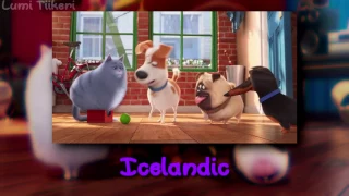 The Secret Life Of Pets - Buddy Finds The Ball (One Line Multilanguage [HD]