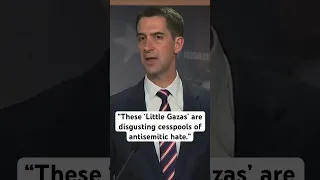 Tom Cotton calls pro-Palestinian protesters at colleges “freaks” comparable to Iranian ayatollahs