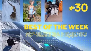 Best of the Week - Лучшее за Неделю #30 Самые смешные видео, фейлы и лучшие приколы тикток 2022