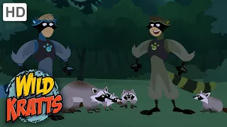 Wild Kratts | Masked Bandits | Full Episode | Season 1