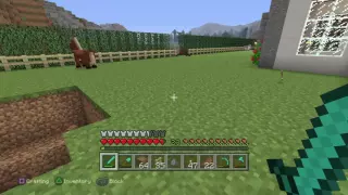 Minecraft: Baby Zombie riding Chicken with Shovel