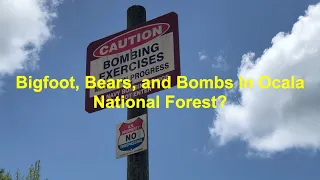 Bigfoot, Bears, and Bombs In Ocala National Forest?