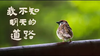 「赞美诗」——《我不知明天的道路》（I Know Who Holds Tomorrow -- Chinese version）