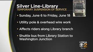 Port Authority Suspending Library Line Service