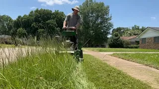 REPORTER ASKS me to be on THE NEWS during this OVERGROWN YARD