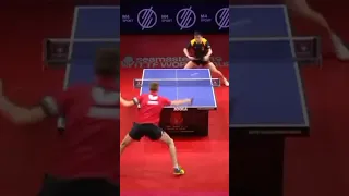 Alexander Shibaev backhand attacking Fan Zhendong