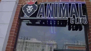 Sawazki & Terekhov в "Animal Club" 3.08.2017