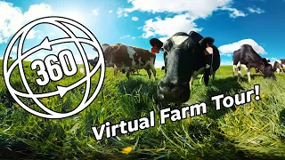 Virtual 360° Farm Tour | Organic Valley 360°