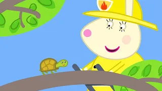 La tortue coincée dans l'arbre ! | Peppa Pig Français Episodes Complets