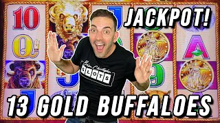 13 GOLD BUFFALO JACKPOT ↪ BIGGEST IN FOREVER!!