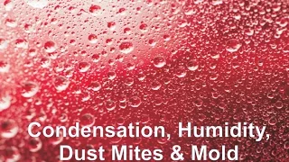 Condensation, Humidity, Dust Mites & Mold