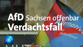 AfD Sachsen offenbar vom Verfassungsschutz zum Verdachtsfall erklärt worden