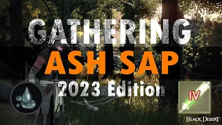 Black Desert Online Gathering Ash Sap - 1 hour - 2023 Edition