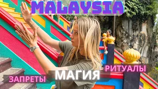 МАЛАЙЗИЯ🇲🇾 и её обитатели. ВСË ПОКА!