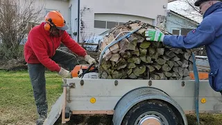 Stihl MS880 Bündelsäge Ster Brennhols sägen