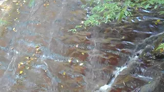 Сочи. Верхнеармянское Лоо. Водопад "Райское наслаждение". (1 октября 2019 г.)