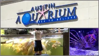 Austin Aquarium Tour (4K)