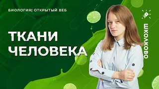 ЕГЭ 2022 по биологии. Анатомия человека: Ткани.