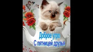 Ура, пятница!!! / Hooray, Friday !!! / Ура, п'ятниця!!!