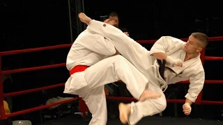 Best Kyokushin Karate 'KO' in History