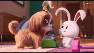 #TheSecretLifeOfPets2 #Compilation #KinoCheck THE SECRET LIFE OF PETS 2 - 11 Minutes Trailers (2019)