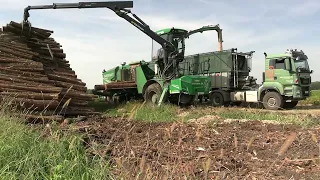 Hahn Kompost: Holz häckseln mit einem Albach Diamant 2000 und zwei MAN Agrotrucks