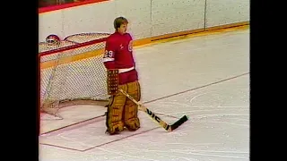 Chicago Blackhawks Detroit Red Wings March 24, 1982
