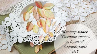 Мастер-класс "Осенние листья из бумаги" | Скрапбукинг | DIY