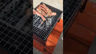 Temu portable grill first use cooking pork barbeque in charcoal