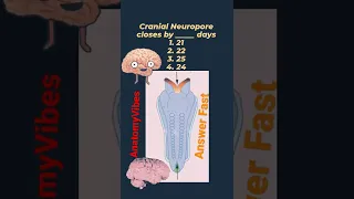 Cranial Neuropore | Development of Nervous system | Brain | Anatomy #anatomy #embryology #neuro