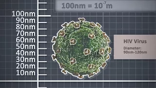 The Metre - Metric unit of length - Scale comparison