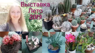 ВЫСТАВКА🌵КАКТУСОВ 2-6-2019