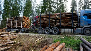 Timber loading over a long time & broken hose