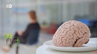 Nuestro cerebro es lo que comemos (La noche temática documental completo)