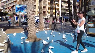 BENIDORM 🇪🇸 Old Town March 2024 Costa Blanca SPAIN 4K