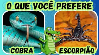 O que Você prefere ? As escolhas mais divertidas para você!| Quiz