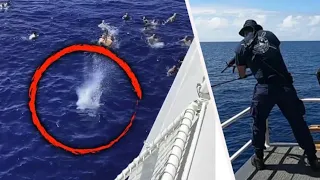 Coast Guard Fires Shots At A Shark To Save Swimmers