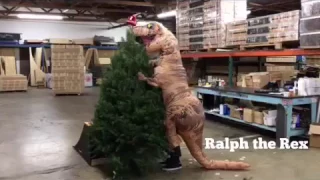 T-REX PUTS A STAR ON THE CHRISTMAS TREE