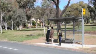 Bus Stop Film