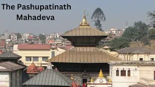 The Pashupatinath Mahadeva, Kathmandu @katakuti5944