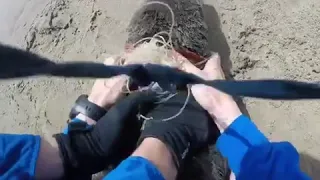 Sea Lion Trapped in Fishing Net - 1010546